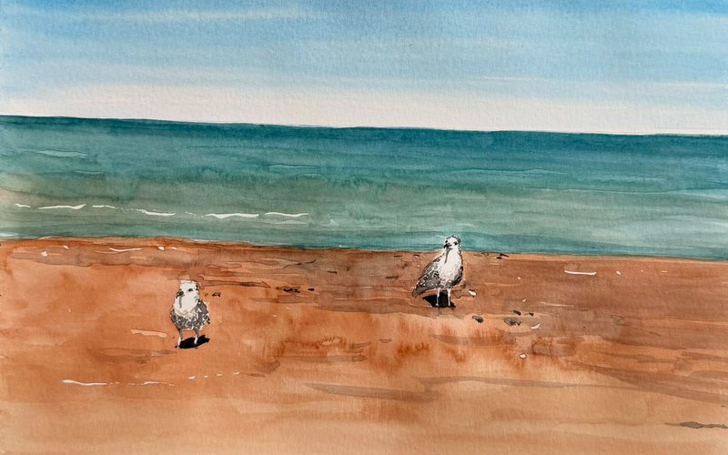 A watercolour of two gulls standing on wet orange sand, with a band of green-blue sea and a pale sky behind them